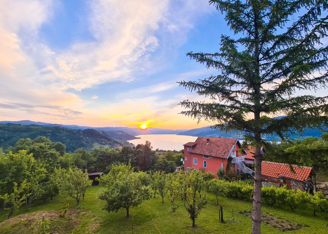 Apartmani Kuljanin Donji Milanovac Exterior photo